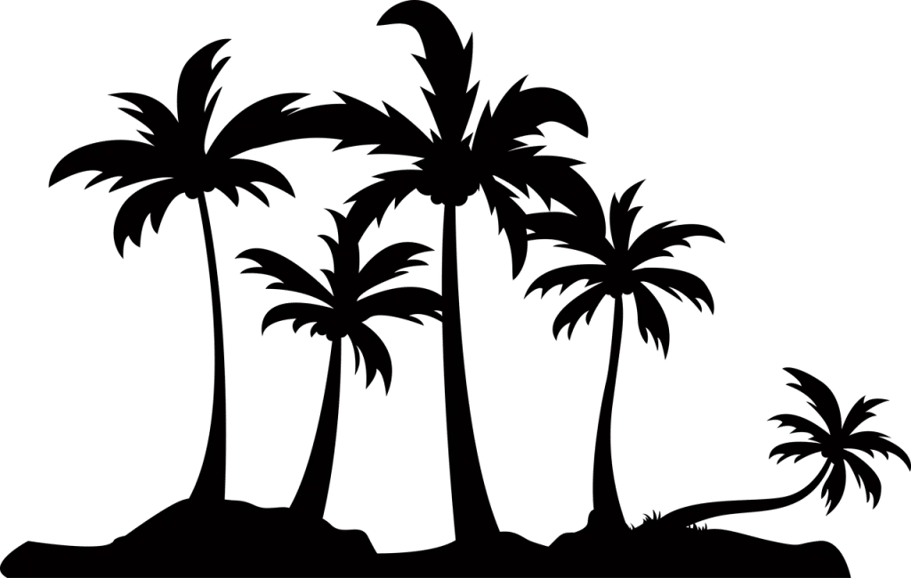découvrez shopify, la solution idéale pour créer et gérer votre boutique en ligne. profitez d'une plateforme intuitive, d'outils puissants et d'un support dédié pour maximiser vos ventes et atteindre vos objectifs commerciaux.
