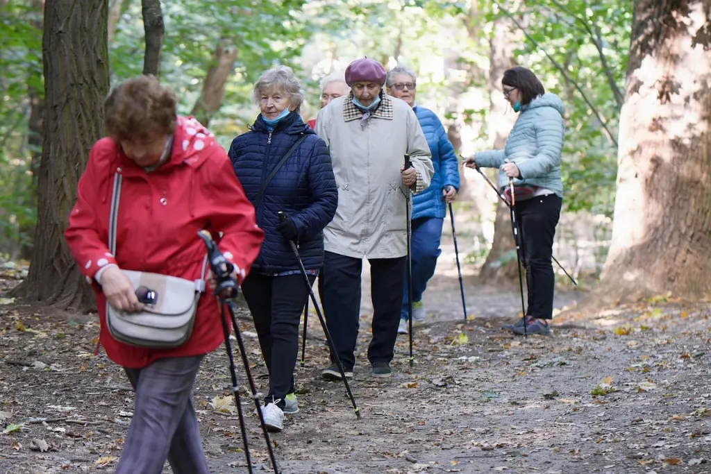 découvrez notre guide complet dédié aux seniors : conseils pratiques, activités enrichissantes, services adaptés et bien-être. profitez pleinement de cette belle étape de la vie !