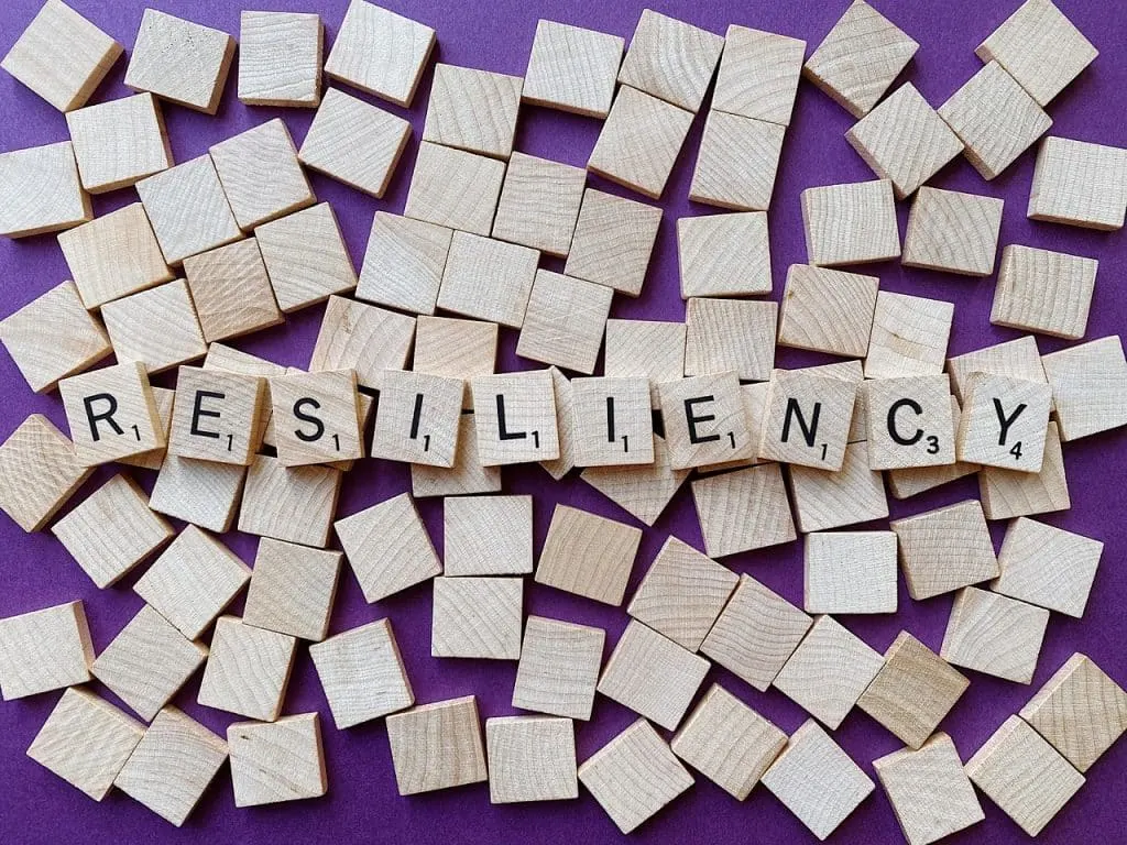 découvrez le concept de résilience, une qualité essentielle qui permet aux individus et aux organisations de surmonter les défis et de s'adapter face à l'adversité. apprenez comment développer votre résilience personnelle pour mieux affronter les aléas de la vie.